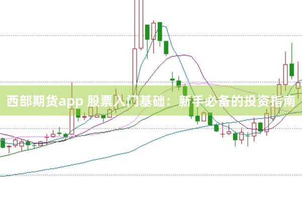 西部期货app 股票入门基础：新手必备的投资指南
