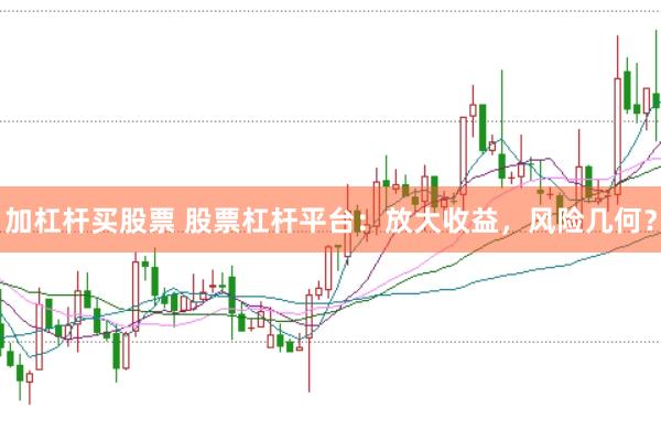加杠杆买股票 股票杠杆平台：放大收益，风险几何？