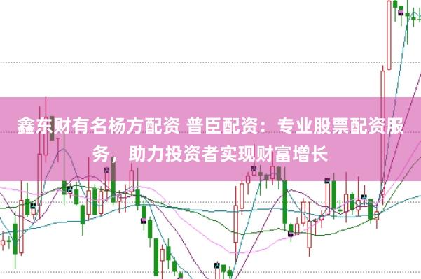 鑫东财有名杨方配资 普臣配资：专业股票配资服务，助力投资者实现财富增长