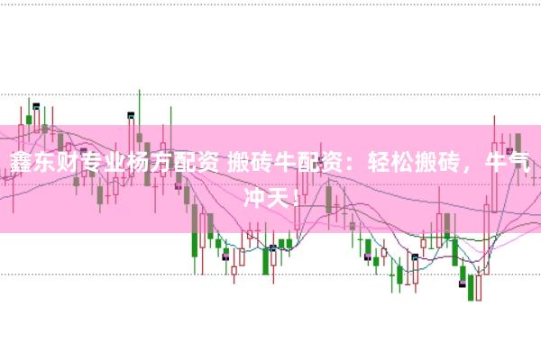鑫东财专业杨方配资 搬砖牛配资：轻松搬砖，牛气冲天！