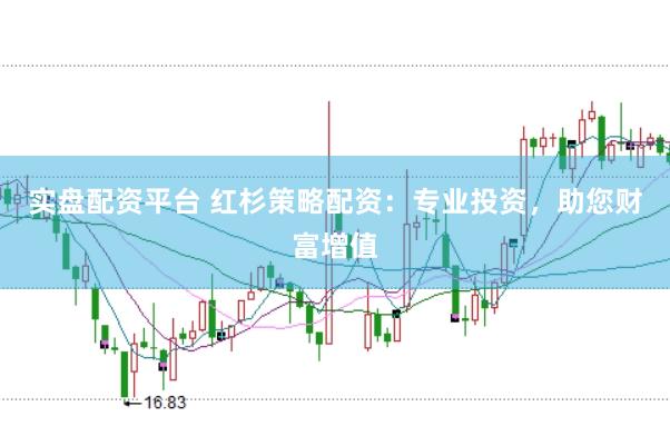 实盘配资平台 红杉策略配资：专业投资，助您财富增值