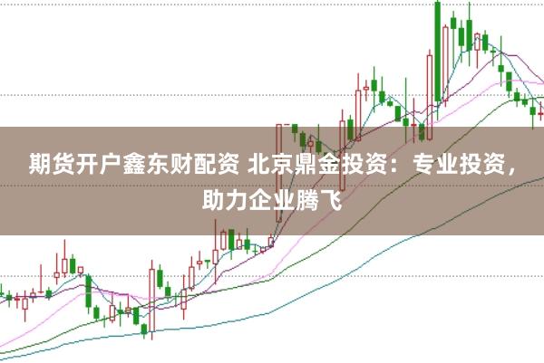 期货开户鑫东财配资 北京鼎金投资：专业投资，助力企业腾飞