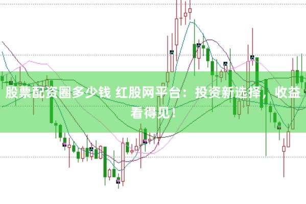 股票配资圈多少钱 红股网平台：投资新选择，收益看得见！