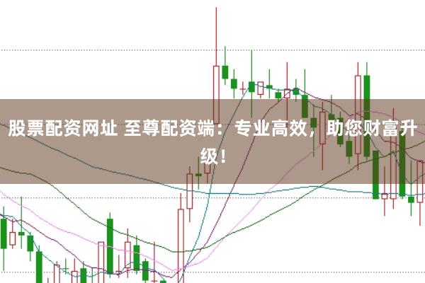 股票配资网址 至尊配资端:专业高效,助您财富升级!