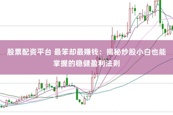 股票配资平台 最笨却最赚钱:揭秘炒股小白也能掌握的稳健盈利法则