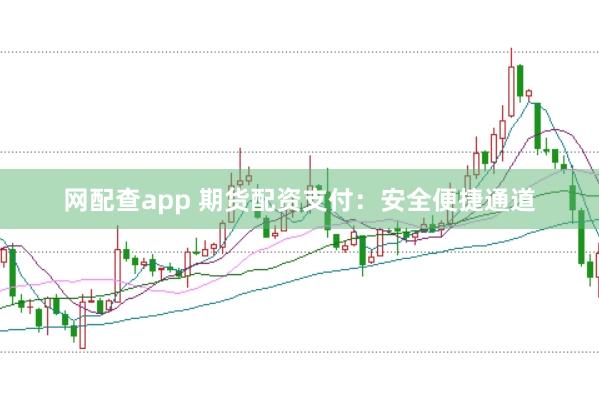 网配查app 期货配资支付:安全便捷通道